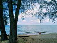 越南富國島著名海灘景點：Bai Dai beach，適合打卡拍照📸