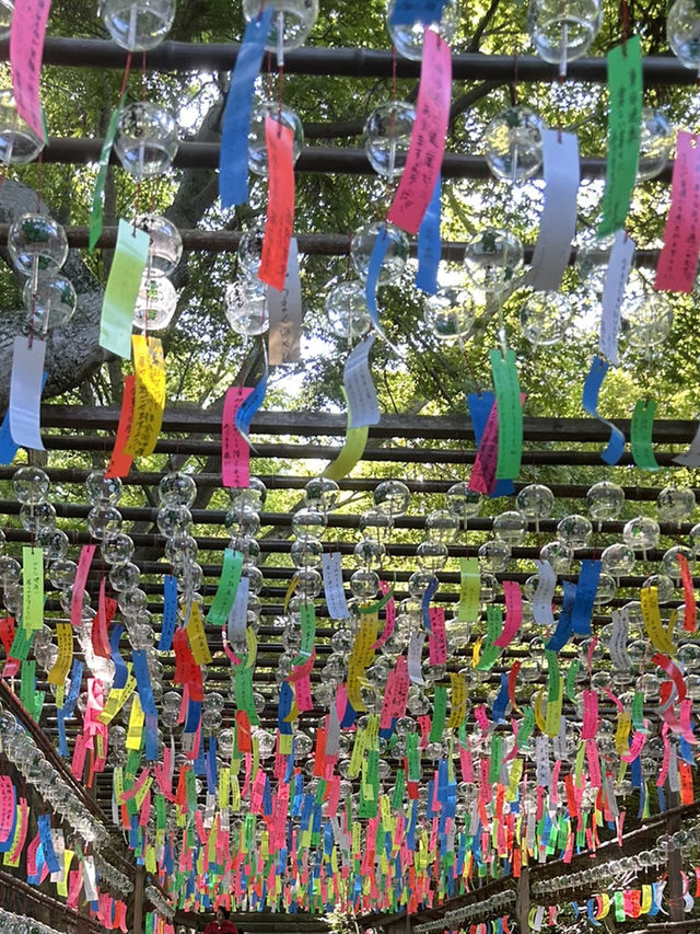 かえる寺🐸