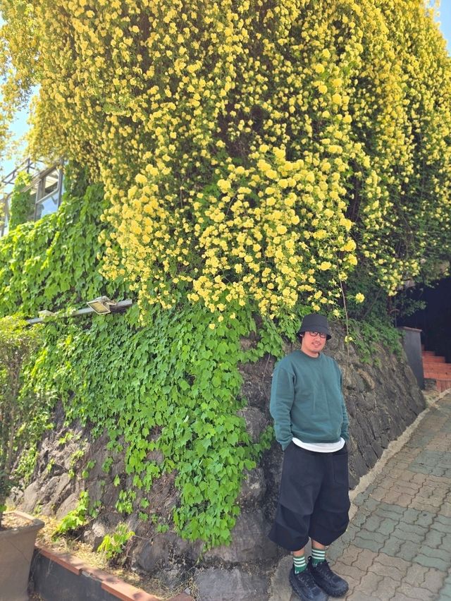 현시각 대구가 가장 아름다운 이유!