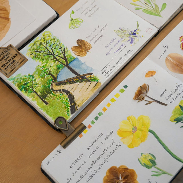 สร้างแรงบันดาลใจผ่าน Botanical Art 🌿✨
