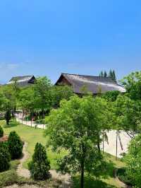 🇹🇭Chiangmai Hidden Gem with Japan vibes 