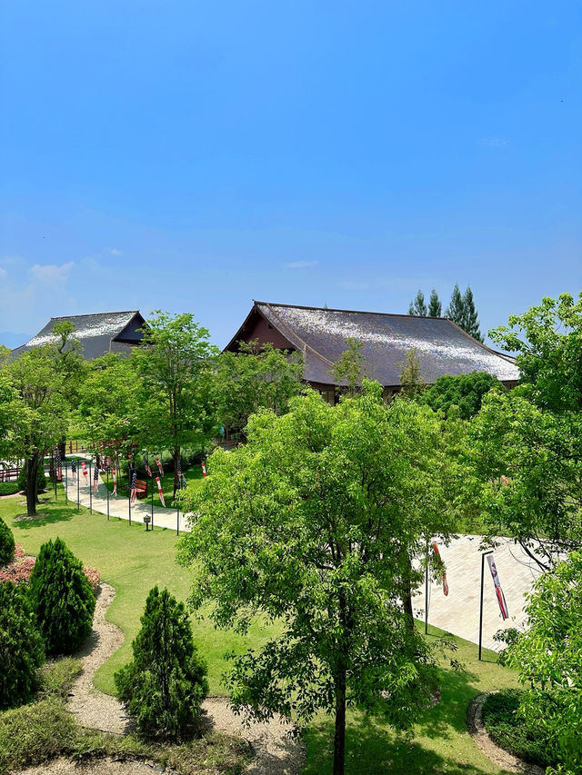 🇹🇭Chiangmai Hidden Gem with Japan vibes 