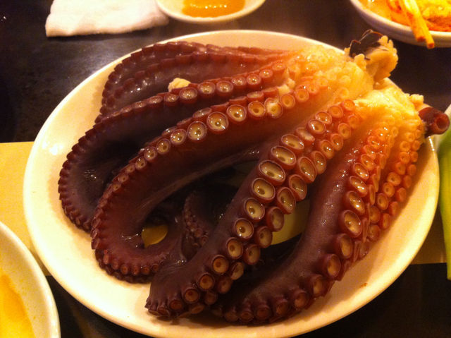 소백산의 절경부터 동해의 바다 맛, 속초의 향토 음식까지! 🚙🍽️