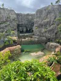 Rainforest Wild Asia – A Hidden Gem for Nature Enthusiasts