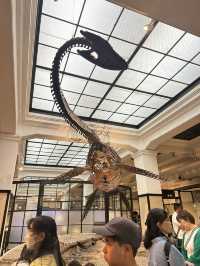 과학의 모든 것! 도쿄 국립과학박물관 🦖🌏✨