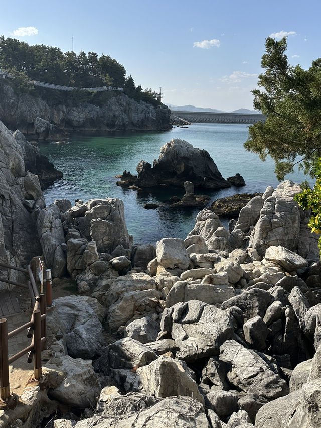 푸르른 동해바다 파도를 머금은 🌊 동해 추암해변 랜드마크 여행가이드🏄‍♂️