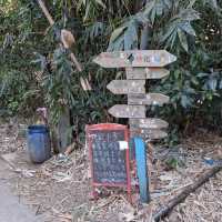 蒲台島 (Po Toi Island)
