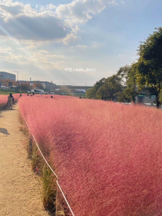 대전 대덕구에서 즐기는 1일 나들이 🧸🍀🌸