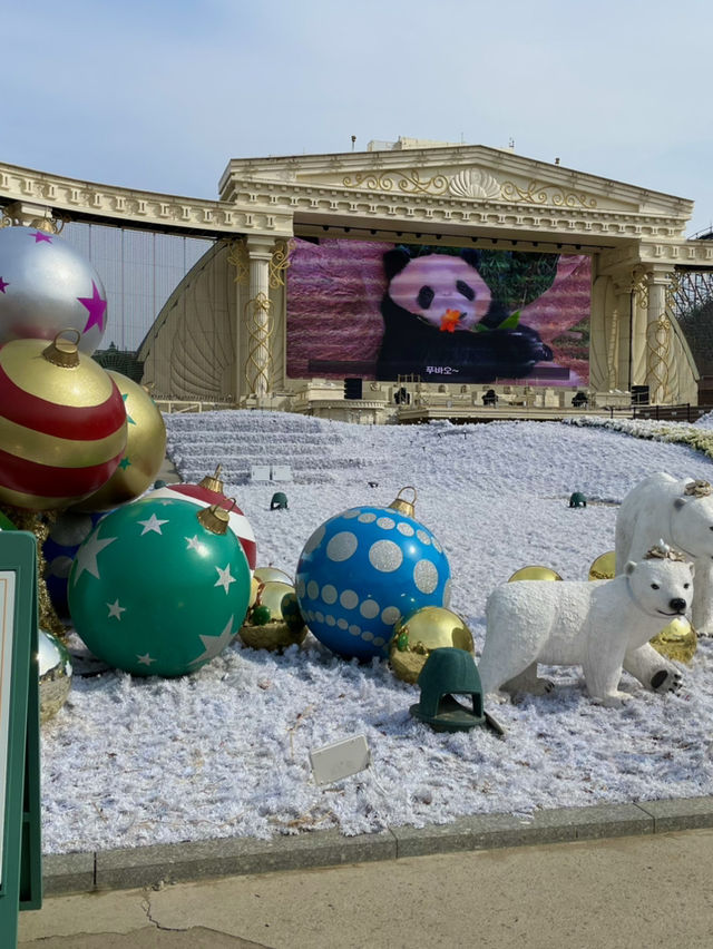 🎢 에버랜드, 경기도의 짜릿한 테마파크!