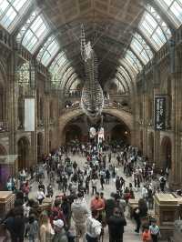 🦖 Natural History Museum, London UK 🦕