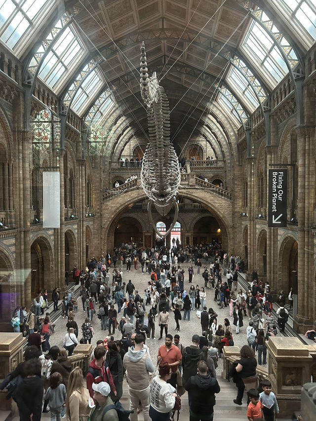 🦖 Natural History Museum, London UK 🦕