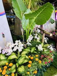 Spring Raya Celebration Blooms at KLIA Sepang 