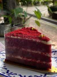 คาเฟ่ลับกลางสวนปาล์มที่จ. พังงา