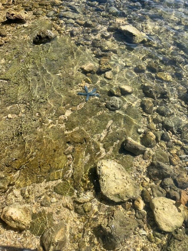 【沖縄】那覇から車３０分の絶景ビーチ🏝️