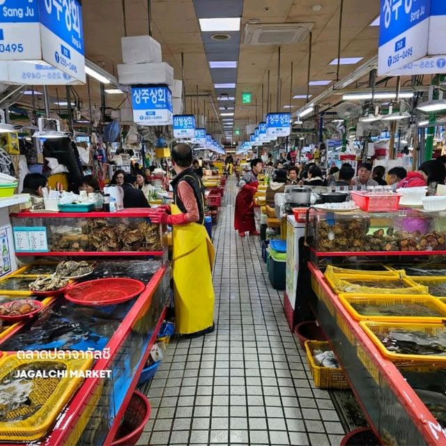 📍มัดรวมสุดยอดที่เที่ยว ปูซาน เกาหลี
