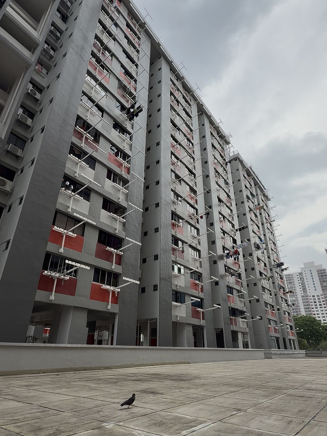 Crawford Court’s Rooftop: A Quiet Spot You Didn’t Know About