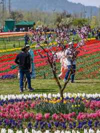 Srinagar – A Soulful Symphony of Lakes, Mountains, and Culture