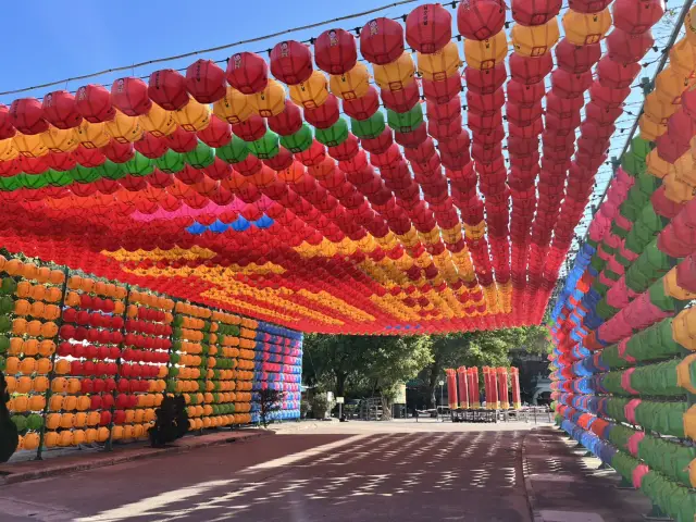 昂坪晨間之旅——無需纜車？完全冇問題。