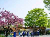 Title: Children’s Grand Park: Seoul’s Family-Friendly Nature & Culture Haven