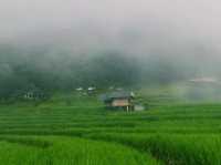ป่าปงเปียง หมู่บ้านเล็กๆ บรรยากาศเงียบสงบ