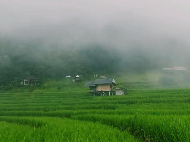 ป่าปงเปียง หมู่บ้านเล็กๆ บรรยากาศเงียบสงบ