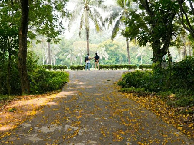 National Botanical Garden – Dhaka’s Living Green Museum