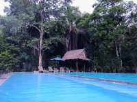 รีสอร์ทกลางป่า Home Phutoey River Kwai Resort