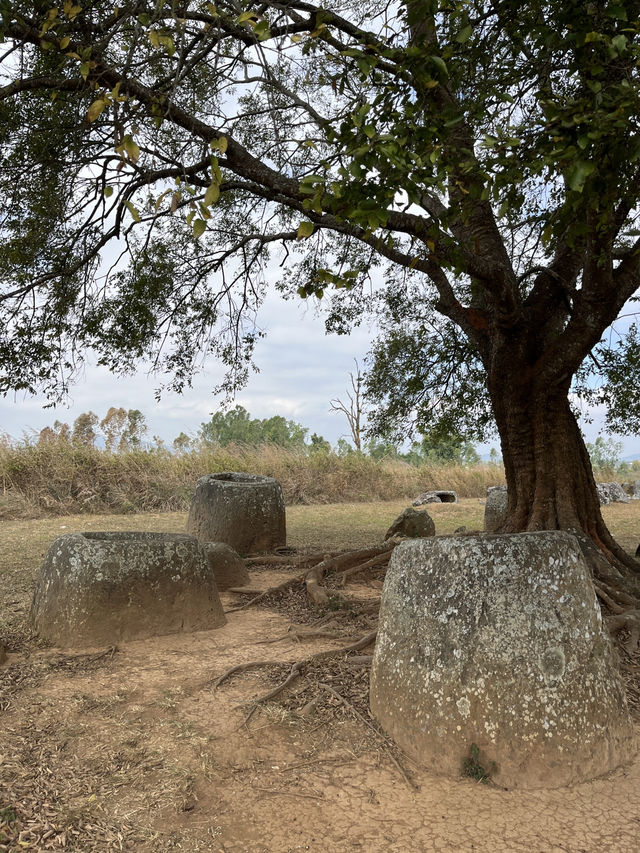 Mystery in the Heart of Laos: The Plain of Jars