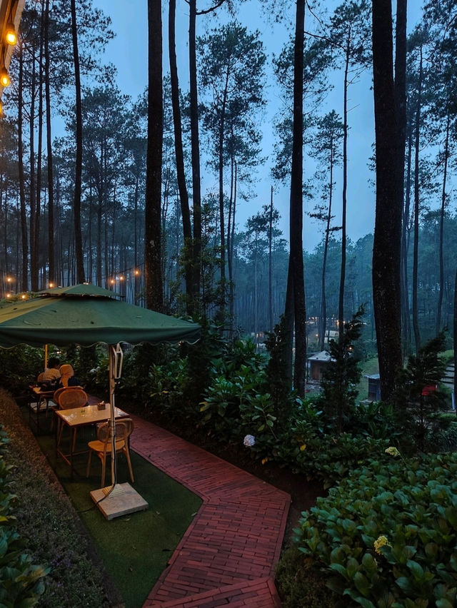Lapinea Cafe & Resto