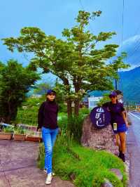 漫步由布院湯之坪街道
