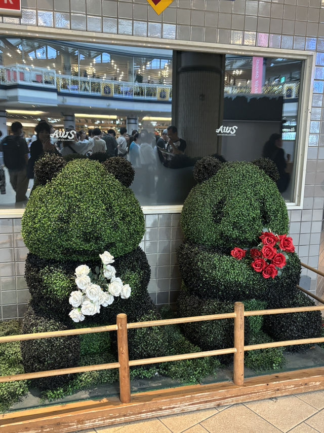 白浜のパンダ、30年間ありがとう❤️