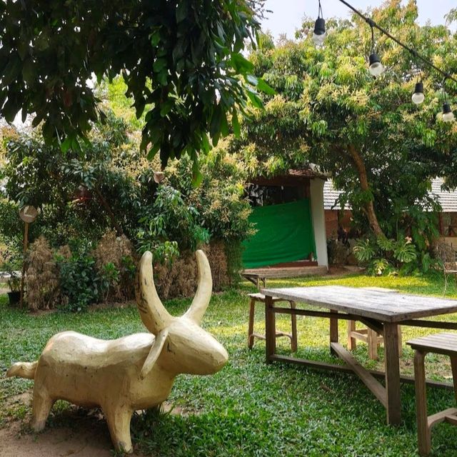 คาเฟ่สไตล์ธรรมชาติ - DIN CAFE ดินคาเฟ่ เชียงใหม่