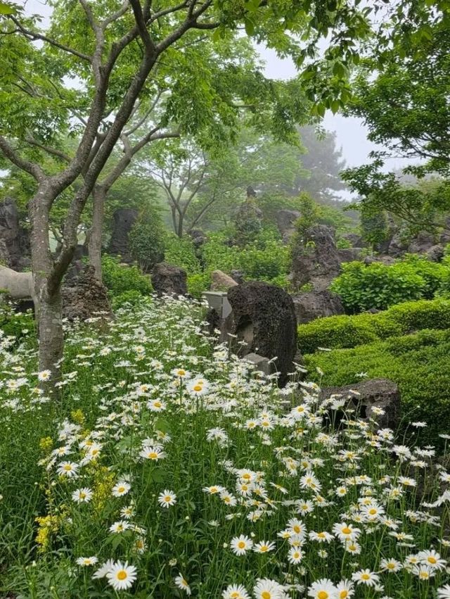 Step Into a Storybook at Songdang Fairytale Village
