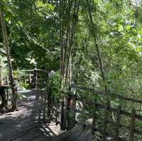 🌿 นา เขา เรา น่าน จังหวัดน่าน 🌿