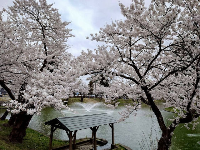 The story behind the Shinjō Castle Ruins