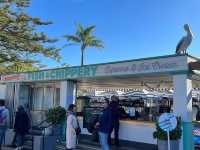Watsons Bay – Sea Breeze & Seafood Feasts