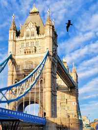 欣賞 倫敦塔橋 (Tower Bridge)🌉 好地方Costa Coffee☕️