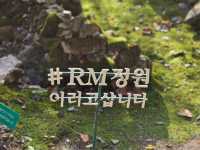 제이드가든에서 자연 속 낭만과 감성을 만끽하세요