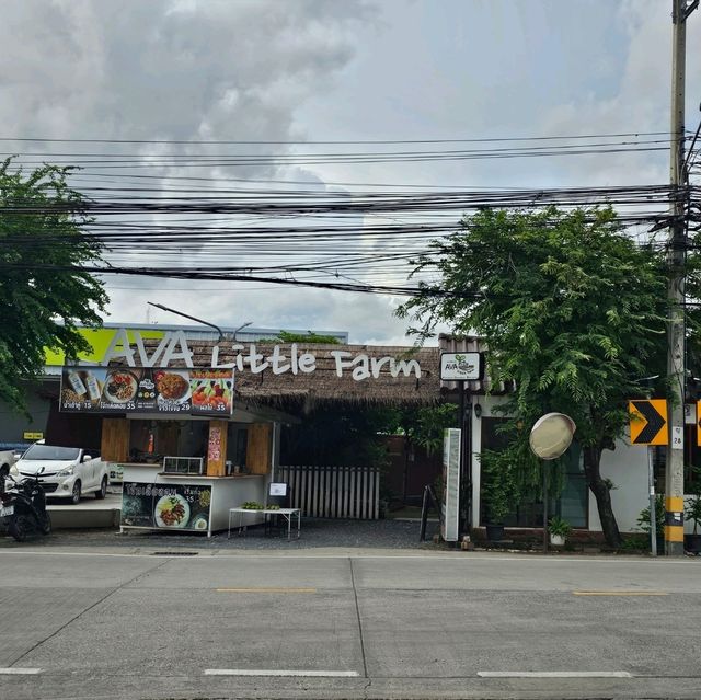 AVA Little Farm