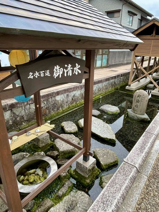 A Peaceful Day in Echizen Ono 🌸🕰️