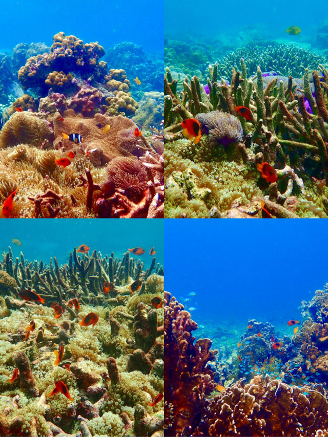 ありのままの自然がここに。シミランで心をリセット🌿🌊