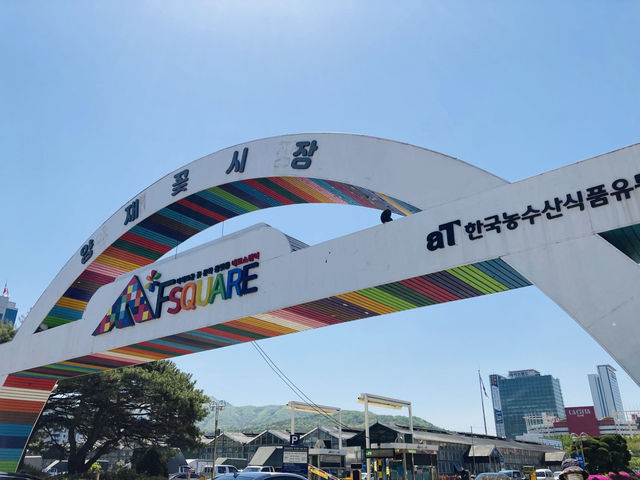 🇰🇷最大の花卸売市場〝良才洞花市場〟で花や植物に癒やされよう💐⟡.·🪴