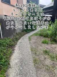 常滑市のとこにゃんに会いに行こう！