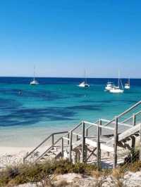 🏝️ Rottnest Island – Perth’s Tropical Paradise Just a Ferry Away! 🐾🌊☀️
