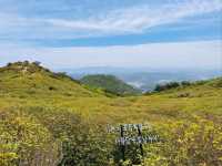Flower Power Hike