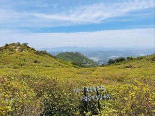 Flower Power Hike