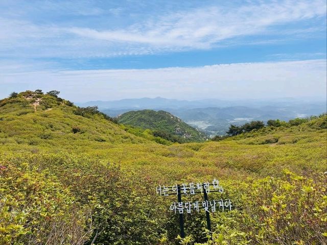 Flower Power Hike