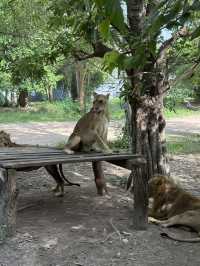 北碧府野生動物園