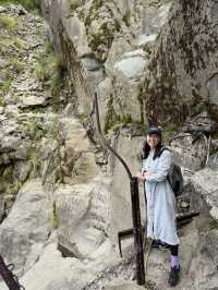 懷念的阿里山森林小火車