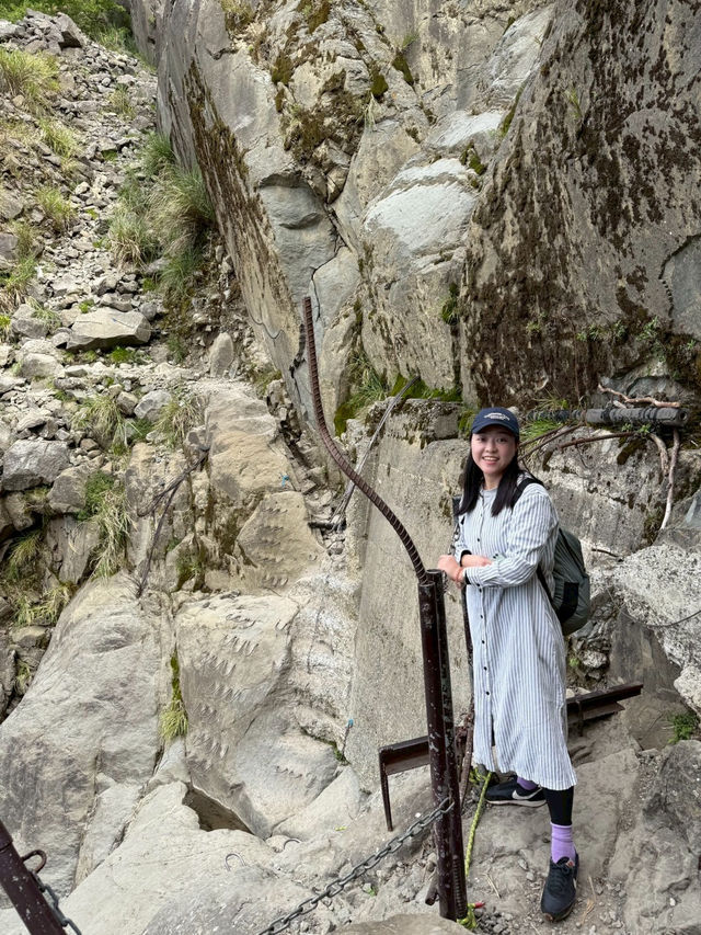 懷念的阿里山森林小火車